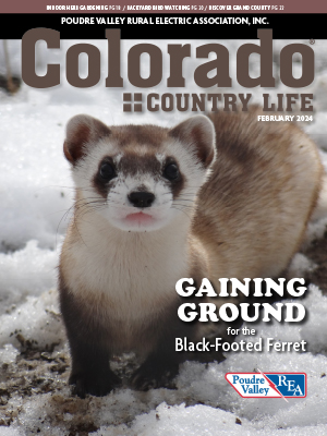 February 2024 Colorado Country Life Magazine cover image