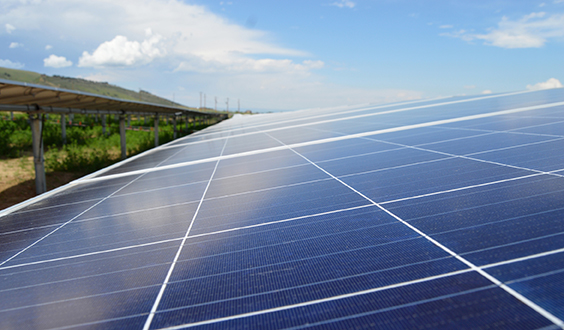 community solar farm