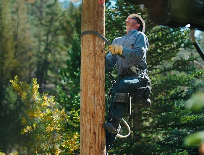 A PVREA Employee Climbs A Power Pole