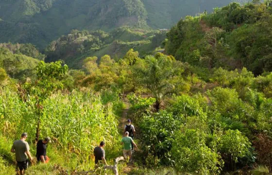 Energy Trails Team Walks Through Guatemala Forest