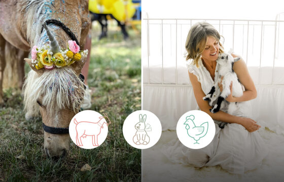 Split image with horse on the left and Backyard Barnyard owner holding a goat on the right. 3 icons across the image show a goat, bunny, and chicken.