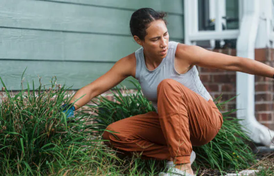 Person kneeling in a garden bed, pulling weeds beside a house.